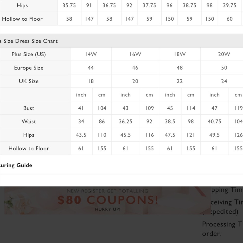 Wedding Dress - Picture 14 of 14